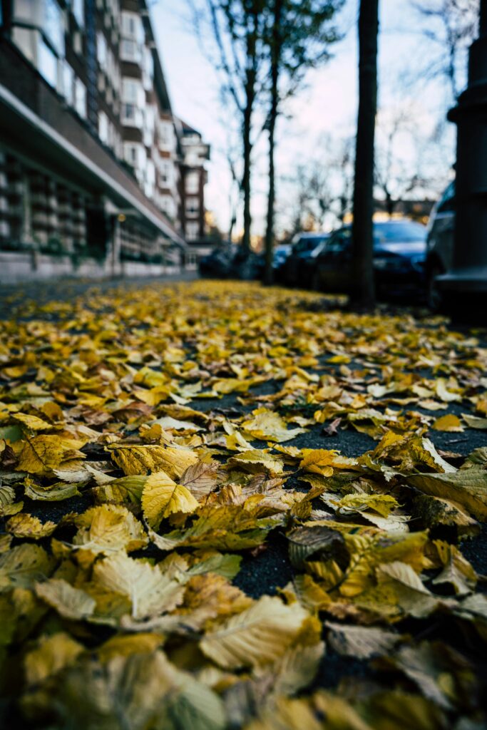 michal balog 3S74KZiPrpE unsplash scaled